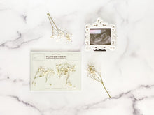 Load image into Gallery viewer, Baby's Breath Flower-gram Greeting Card