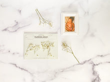 Load image into Gallery viewer, Baby's Breath Flower-gram Greeting Card