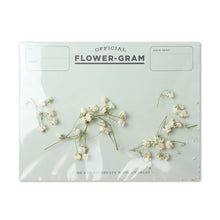 Load image into Gallery viewer, Baby's Breath Flower-gram Greeting Card