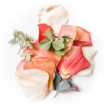 Load image into Gallery viewer, Peony, Rose &amp; Hydrangea Flower-gram Greeting Card

